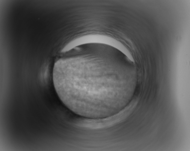 X0000087550029200705181114