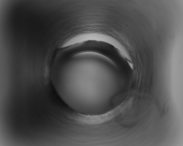 X0000087550031200705181114