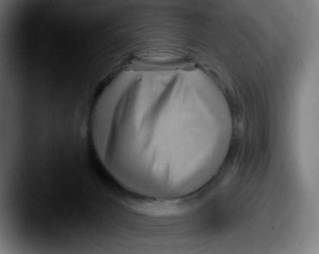 X0000087550032200705181114