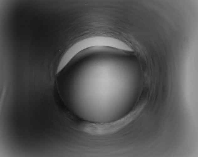 X0000087550033200705181114