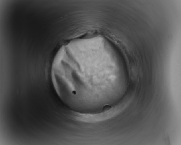 X0000087550034200705181114