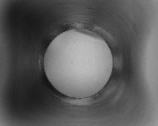 X0000087550036200705181114