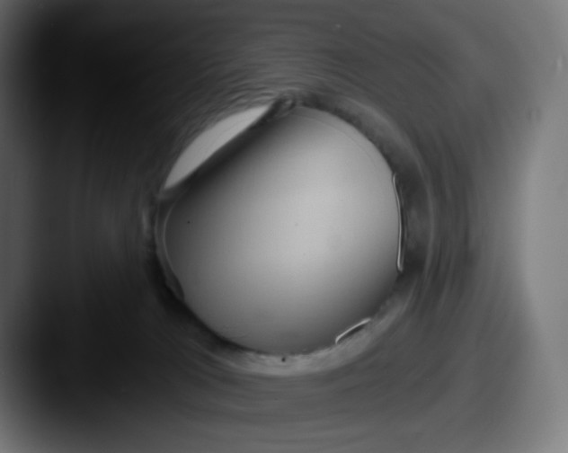 X0000087550037200705181114