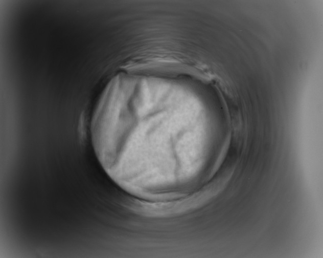 X0000087550038200705181114