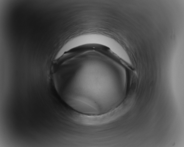 X0000087550039200705181114