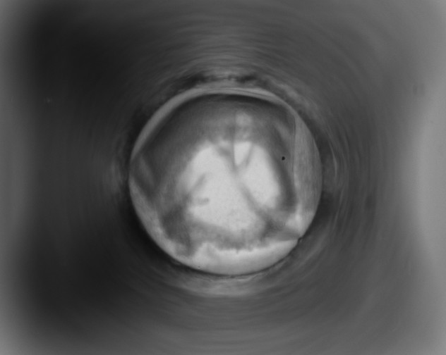 X0000087550040200705181114