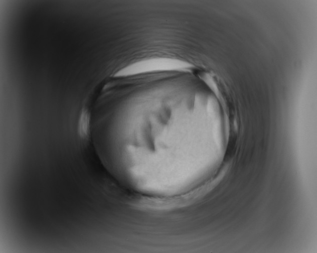 X0000087550041200705181114