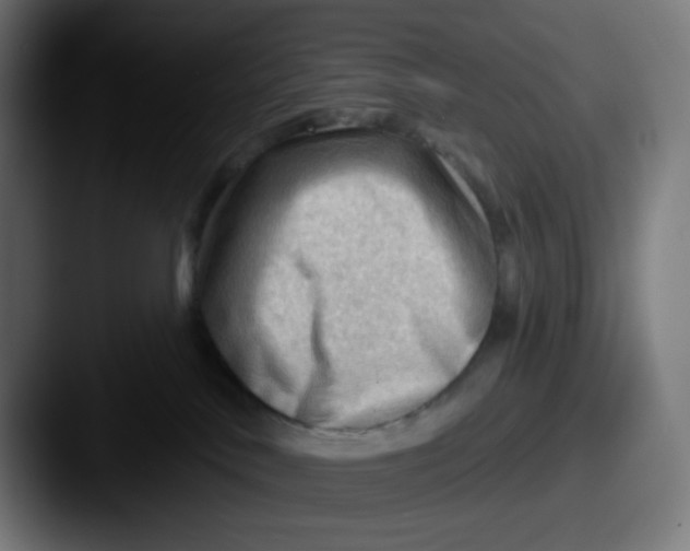 X0000087550042200705181114