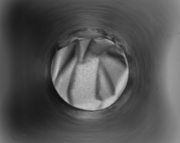 X0000087550044200705181114