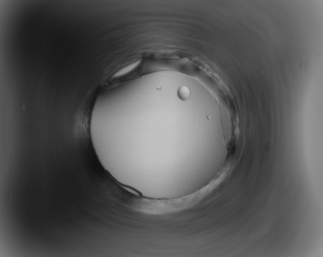 X0000087550045200705181114