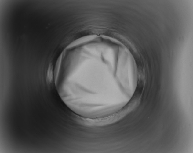 X0000087550046200705181114