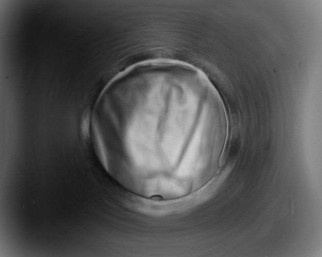 X0000087550047200705181114