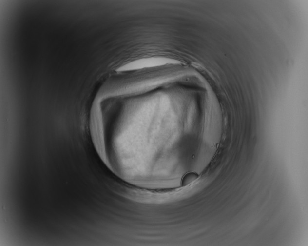 X0000087550048200705181114