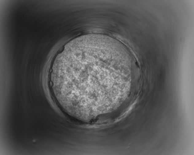 X0000087550049200705181114