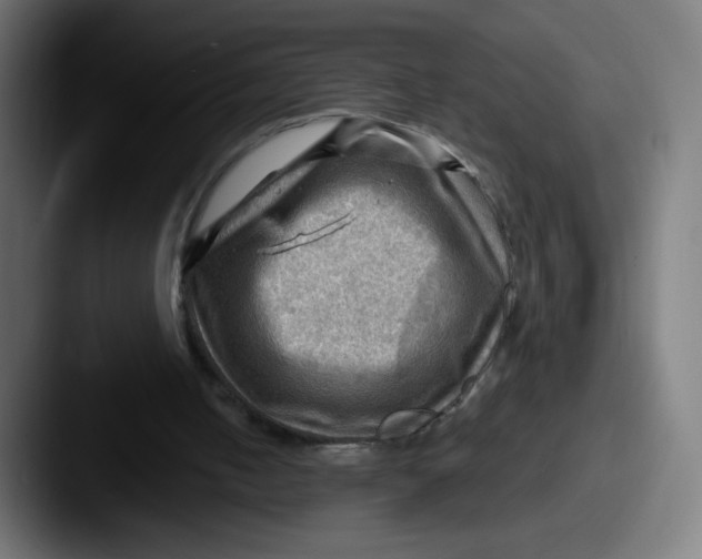 X0000087550050200705181114