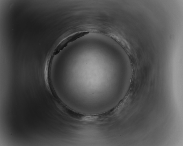 X0000087550051200705181114