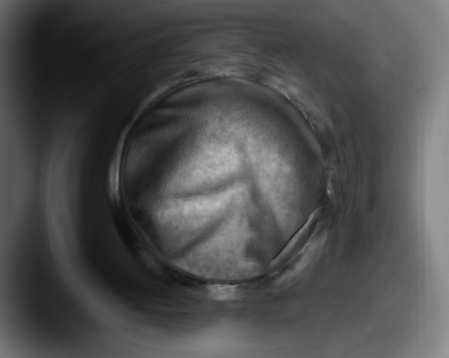 X0000087550052200705181114