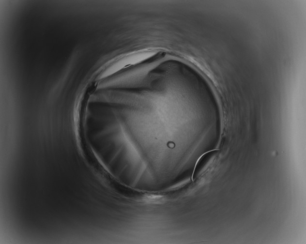 X0000087550055200705181114