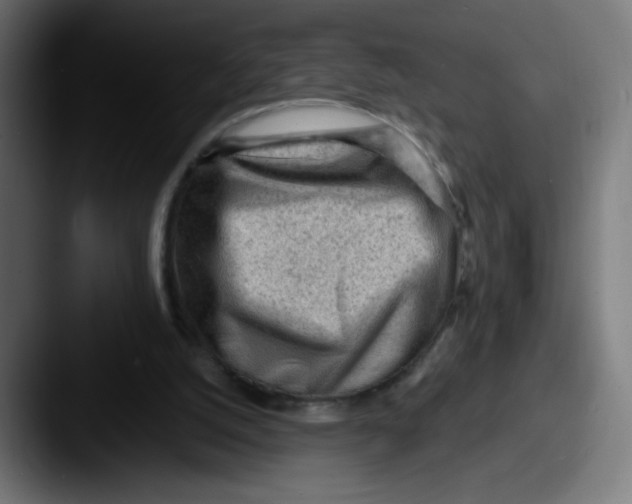 X0000087550056200705181114