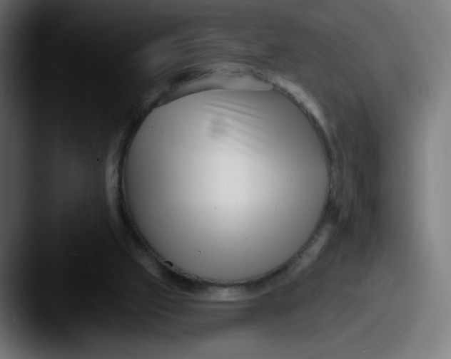 X0000087550057200705181114