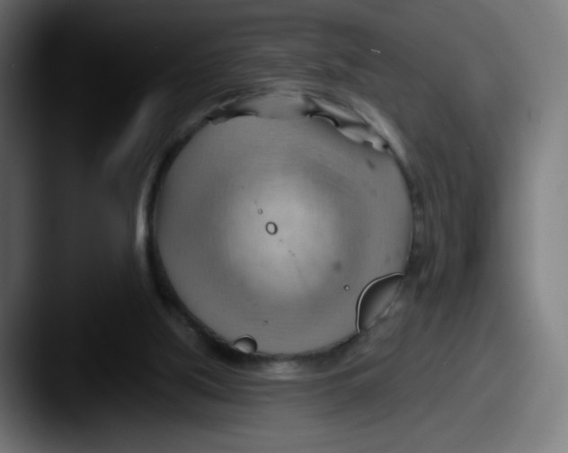 X0000087550059200705181114