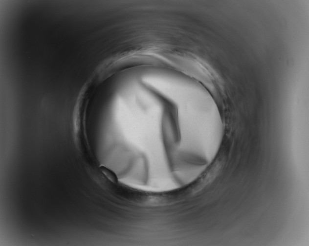 X0000087550060200705181114