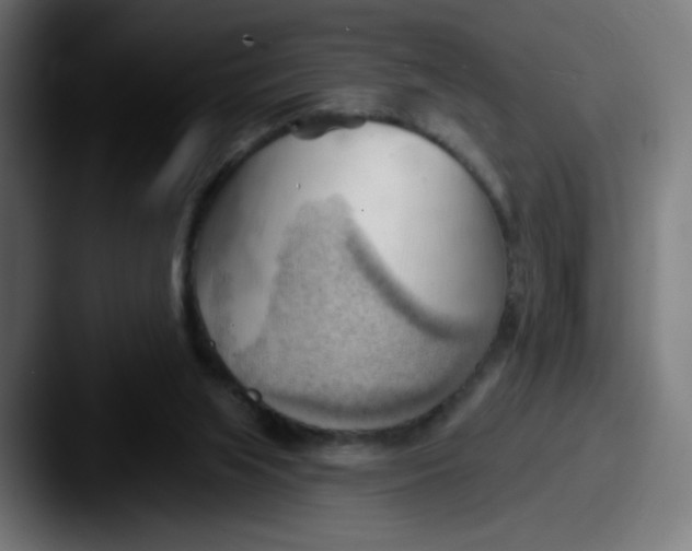 X0000087550063200705181114