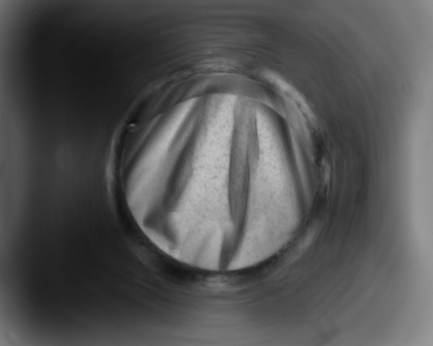 X0000087550064200705181114