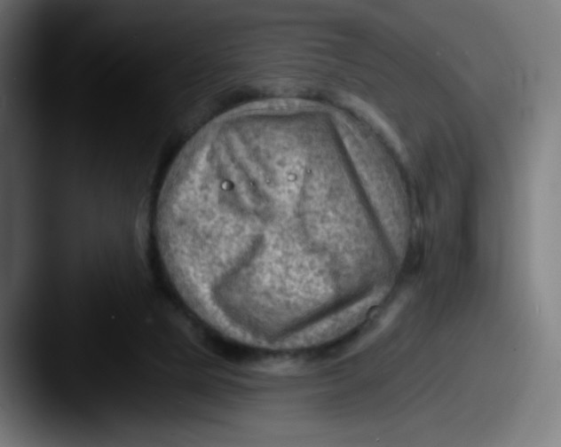 X0000087550065200705181114