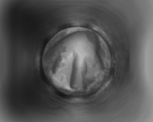 X0000087550066200705181114