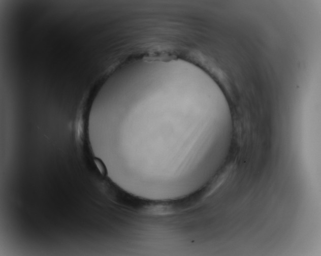 X0000087550067200705181114