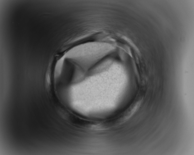 X0000087550068200705181114