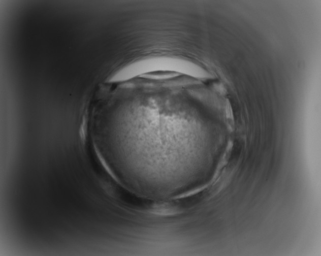 X0000087550070200705181114