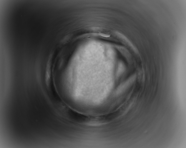 X0000087550072200705181114