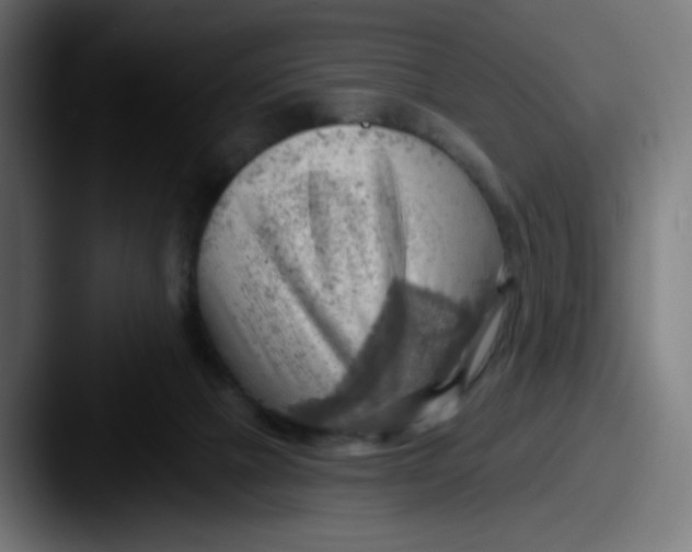 X0000087550073200705181114