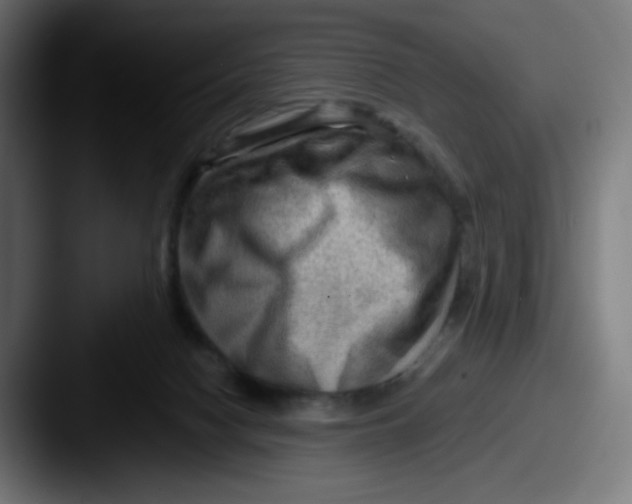 X0000087550074200705181114