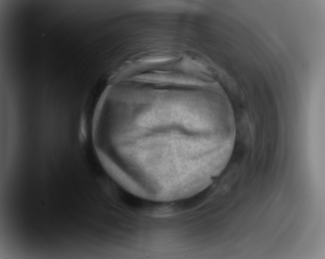 X0000087550075200705181114