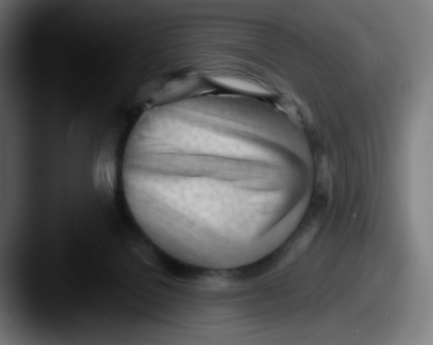 X0000087550076200705181114