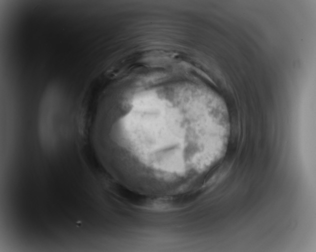 X0000087550078200705181114