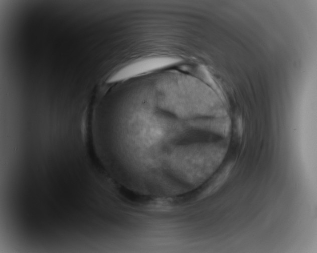 X0000087550080200705181114