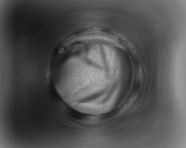 X0000087550084200705181114