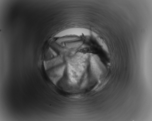 X0000087550086200705181114