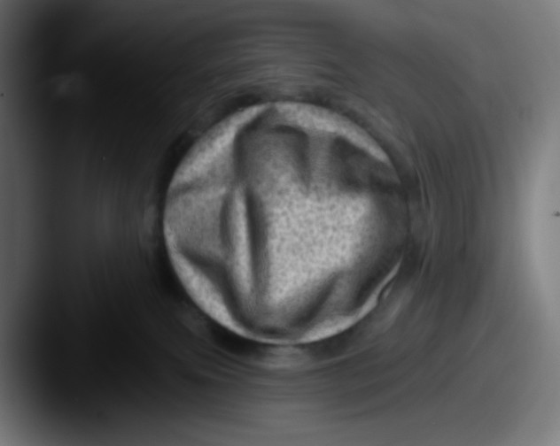 X0000087550087200705181114