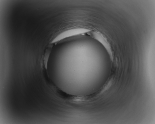 X0000087550088200705181114