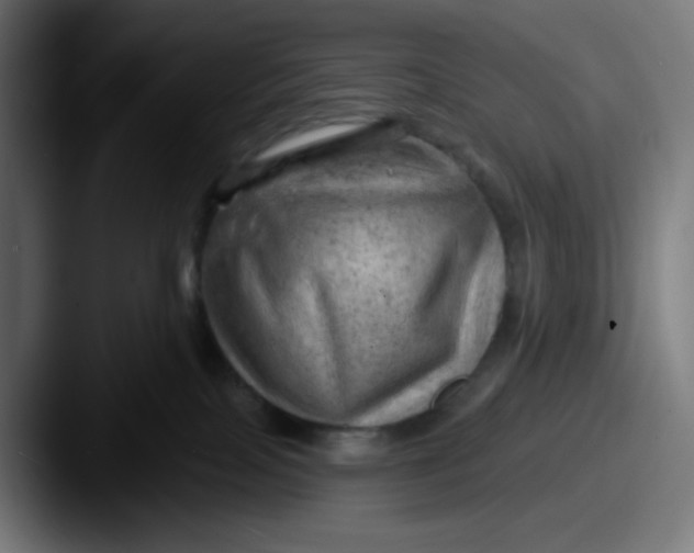 X0000087550089200705181114