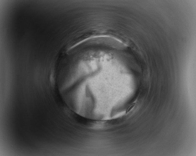 X0000087550090200705181114