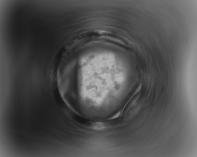 X0000087550091200705181114