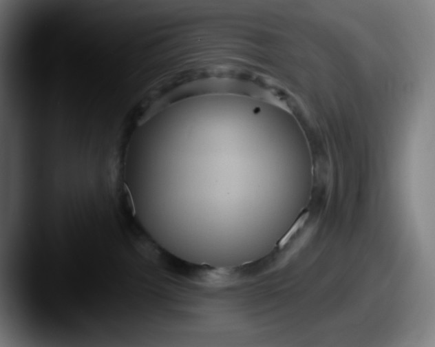 X0000087550092200705181114