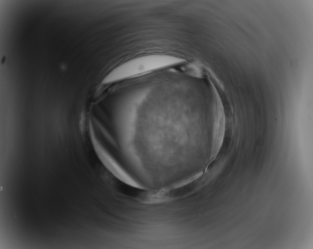 X0000087550093200705181114