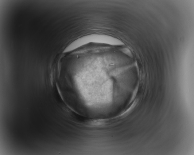 X0000087550094200705181114